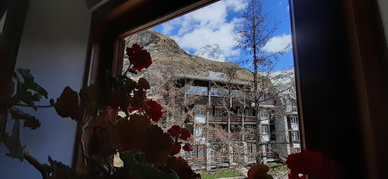 Matterhorn Studio Cervinia Breuil-Cervinia Exterior foto